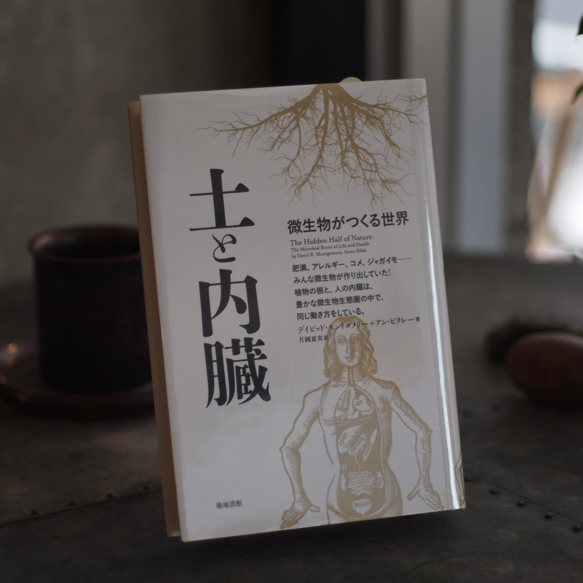 土と内臓 微生物がつくる世界／デイビッド・モンゴメリー（著）、アン