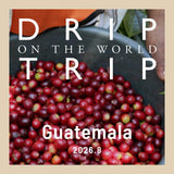 DRIP TRIP 今月の産地「グアテマラ」｜200g