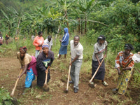 DRIP TRIP 今月の産地「ルワンダ共和国」｜200g