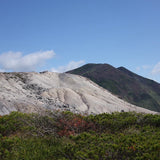 ［IN THE MOUNTAIN］【2024.10】イワオヌプリ Blend｜深煎り｜200g