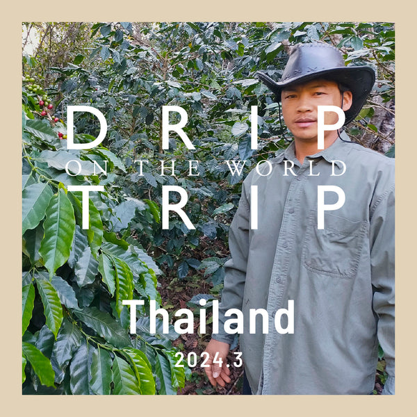 DRIP TRIP 今月の産地「タイ」｜ドリップバッグ25個入りパック