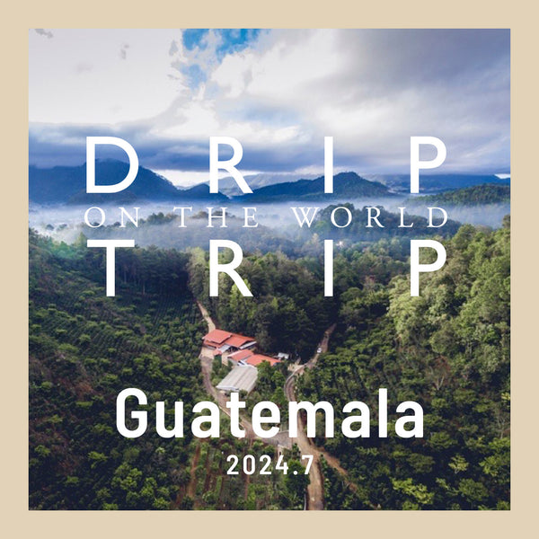DRIP TRIP 今月の産地「グアテマラ」｜200g