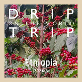 DRIP TRIP 今月の産地「エチオピア」｜ドリップバッグ25個入りパック