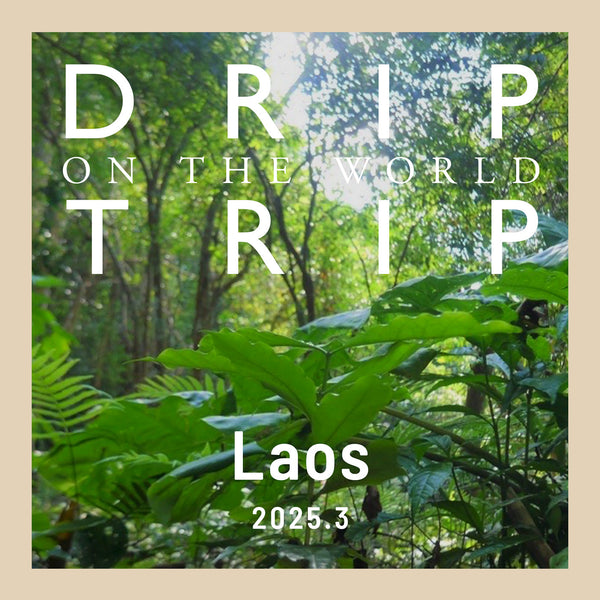 DRIP TRIP 今月の産地「ラオス」｜200g