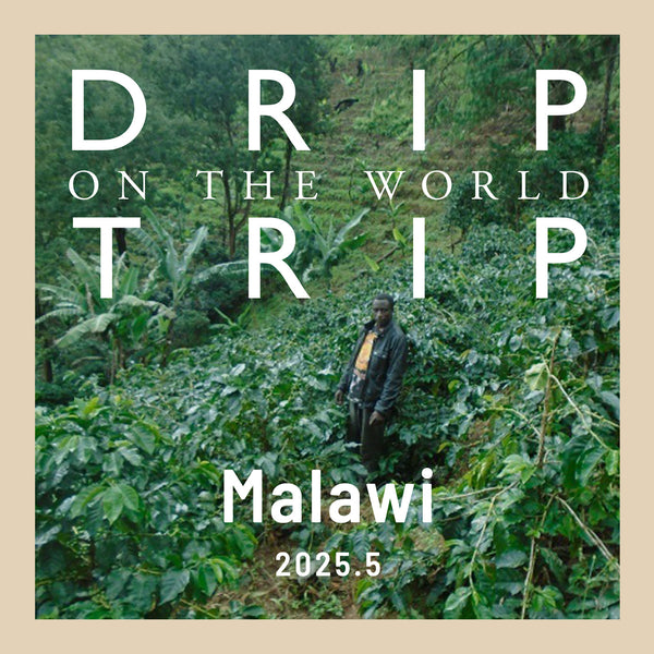 DRIP TRIP 今月の産地「マラウィ共和国」｜200g