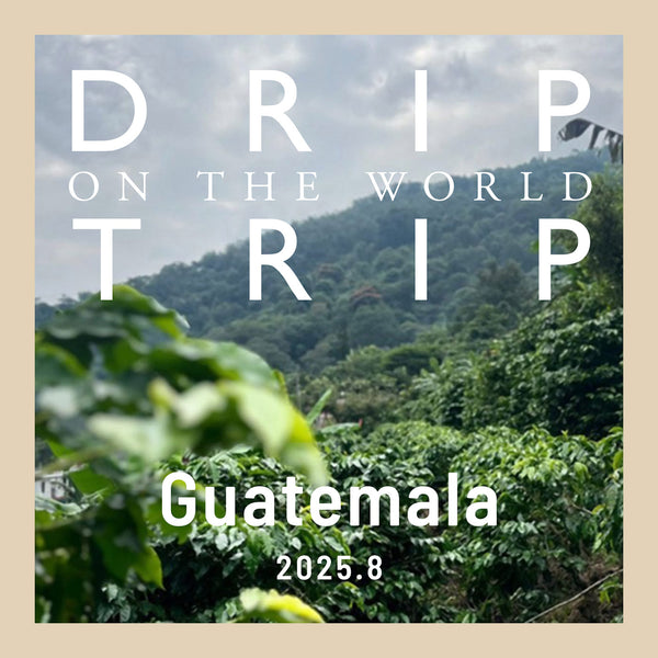 DRIP TRIP 今月の産地「グアテマラ」｜ドリップバッグ25個入りパック