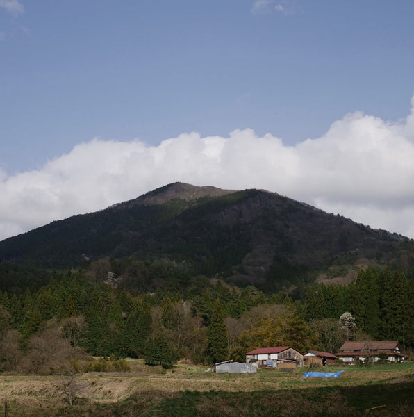 ［IN THE MOUNTAIN］【2022.5】Mt.Kotobiki Blend｜深煎り｜200g