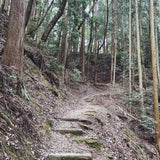 ［IN THE MOUNTAIN］【2021.11】Mt.Kori Blend｜深煎り｜200g